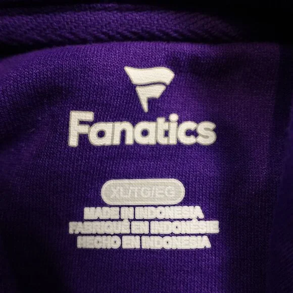 Minnesota Vikings Hoodie Men’s XL Purple Fanatics NFL Pullover Sweatshirt - Picture 3 of 10